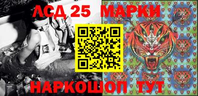 PSILOCYBIN Долгопрудный
